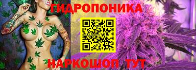 молекула духа Коммунар
