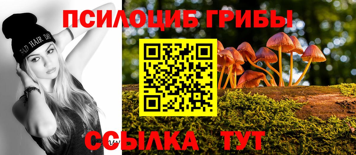 Псилоцибиновые грибы мицелий Костомукша