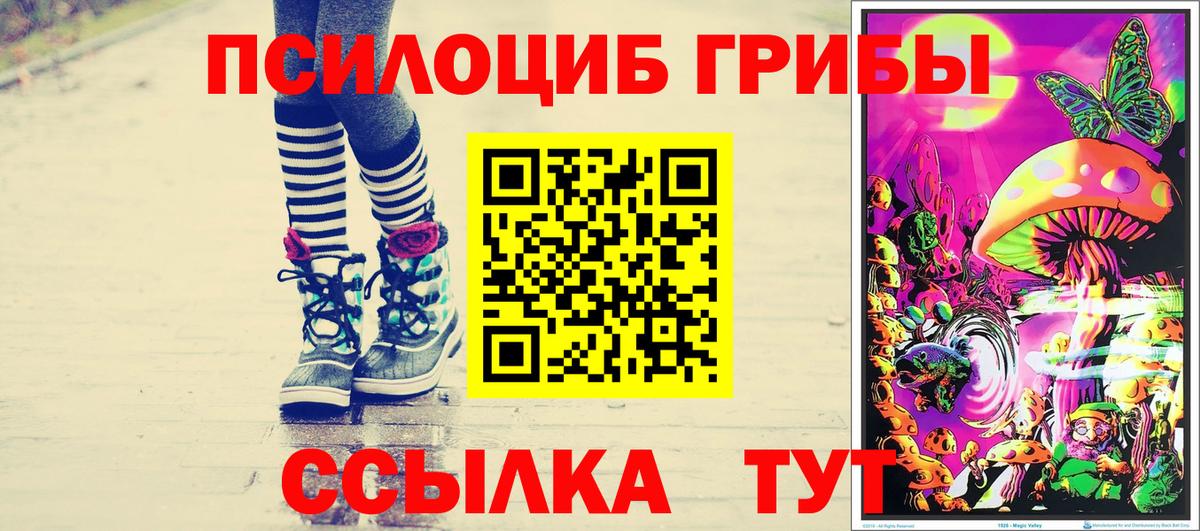 Галлюциногенные грибы Cubensis  Псилоцибиновые грибы прущие грибы  Костомукша  Вход с VPN 